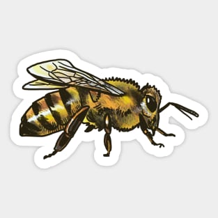 Honeybee Sticker